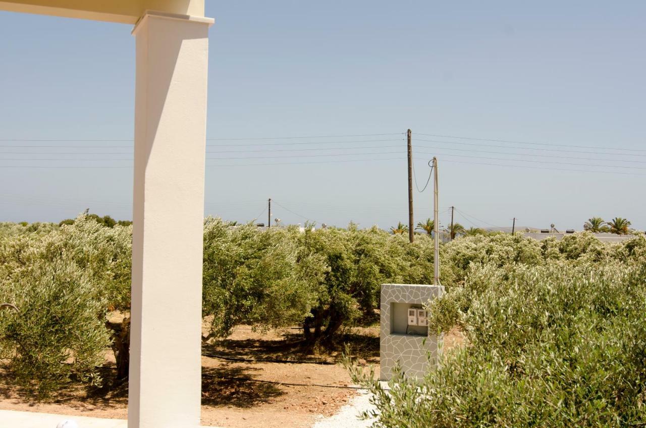Giorgos Villa Палекастрон Екстериор снимка